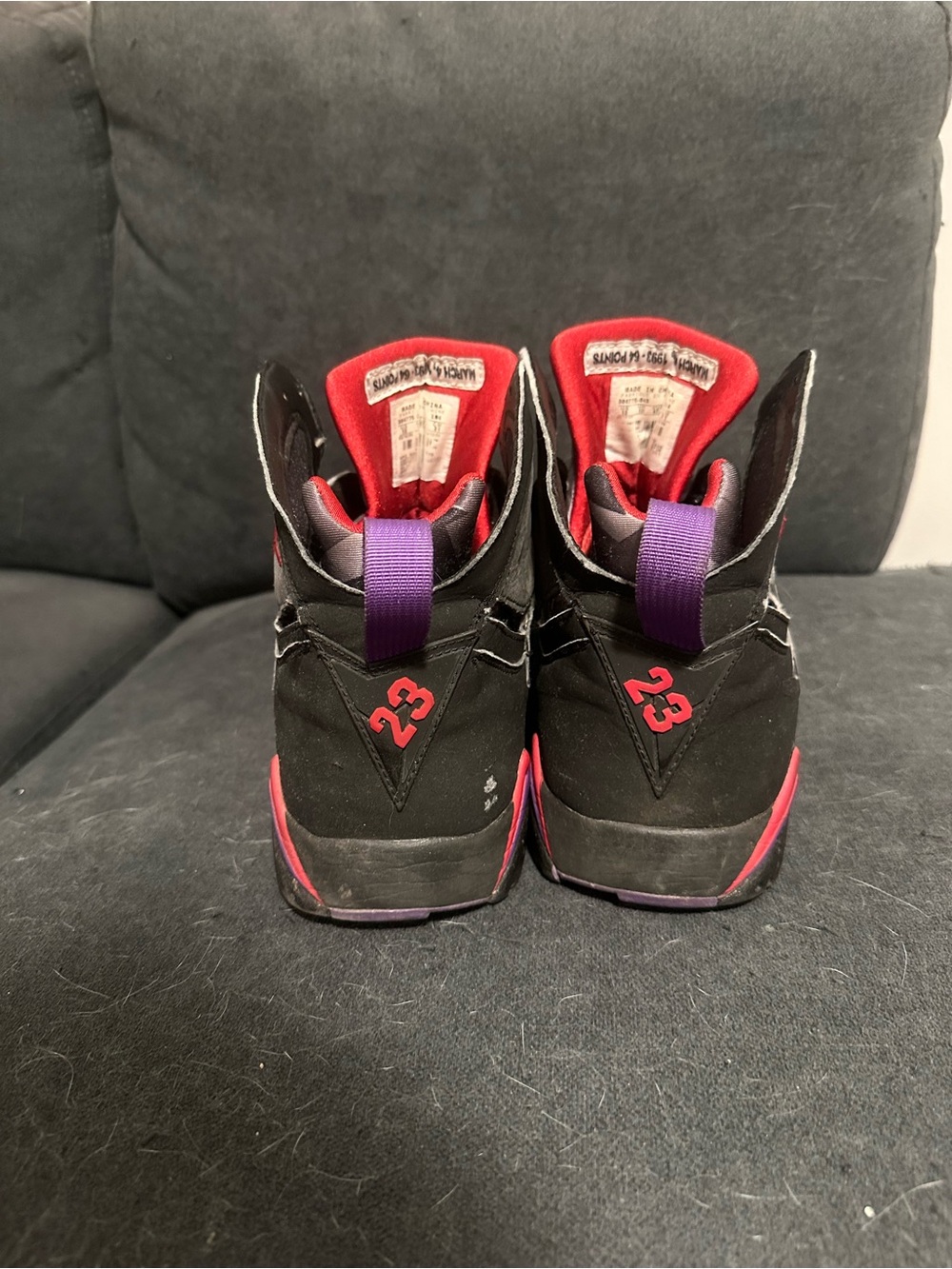 Jordan Retro 7 DMP Raptor - Picture 3 of 8